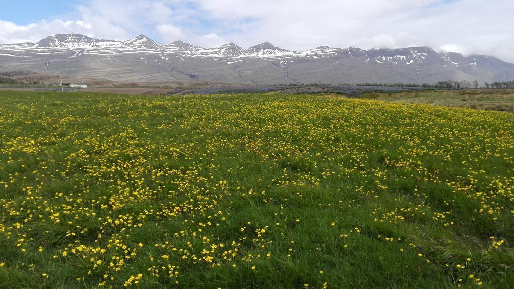 Hotel Stadarborg Breiðdalsvík Buitenkant foto